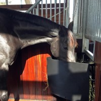 Heutrog 2.0 Heutrog 2.0